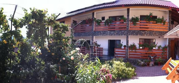 Slideshow Image 1